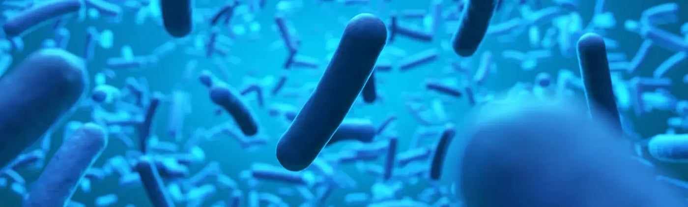 Image of Metalworking Fluids 101: How to Control Bacterial and Fungi Growth
