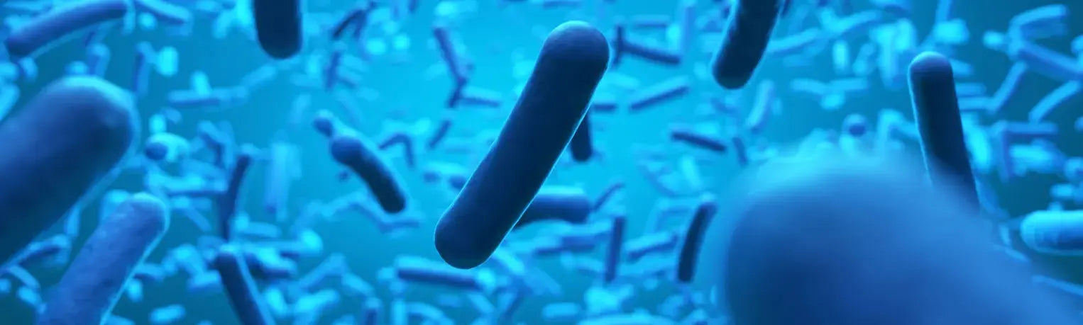 Image of Metalworking Fluids 101: How to Control Bacterial and Fungi Growth