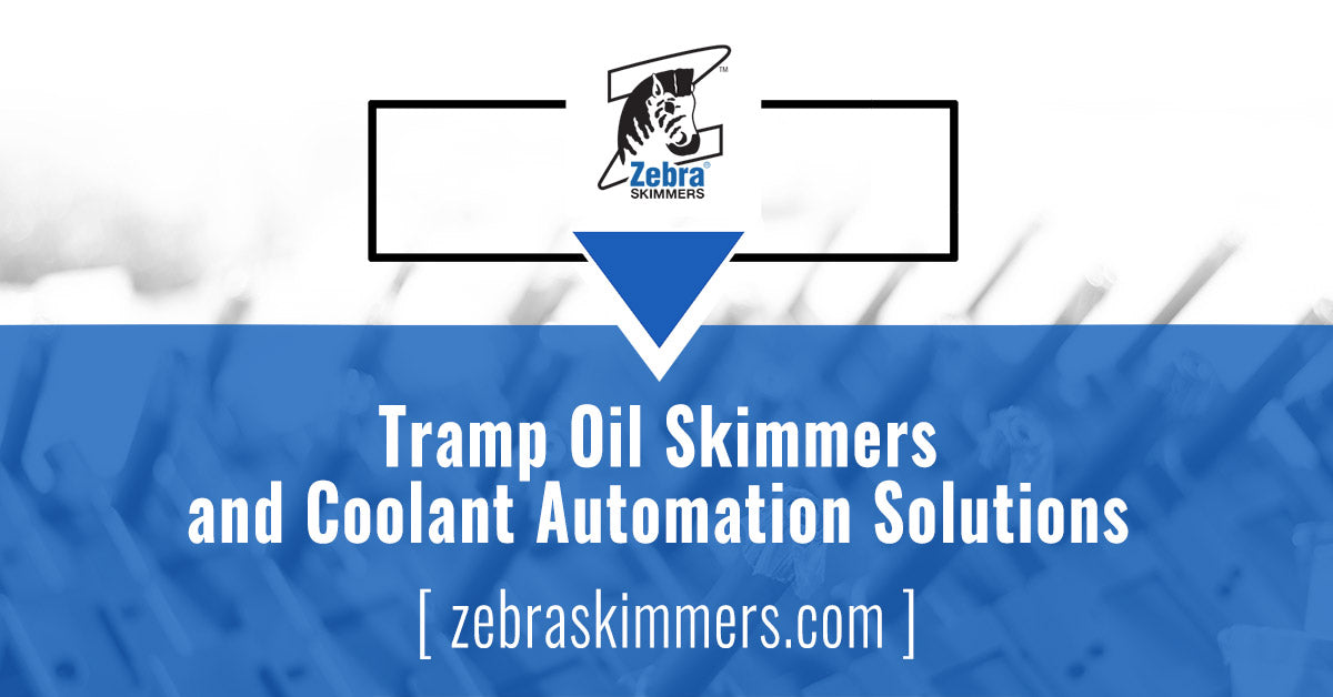 News Page 2 Zebra Skimmers Store